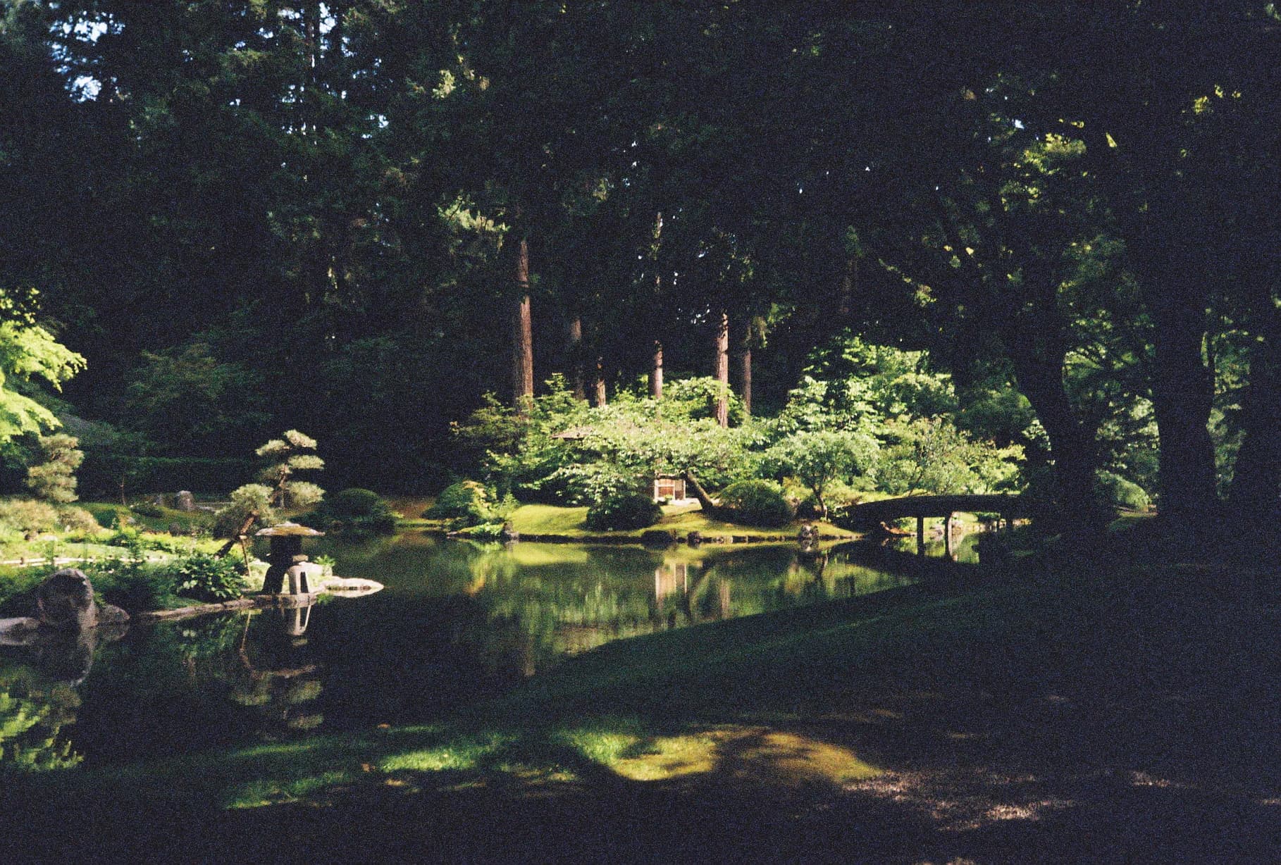 japanese garden, shot on film