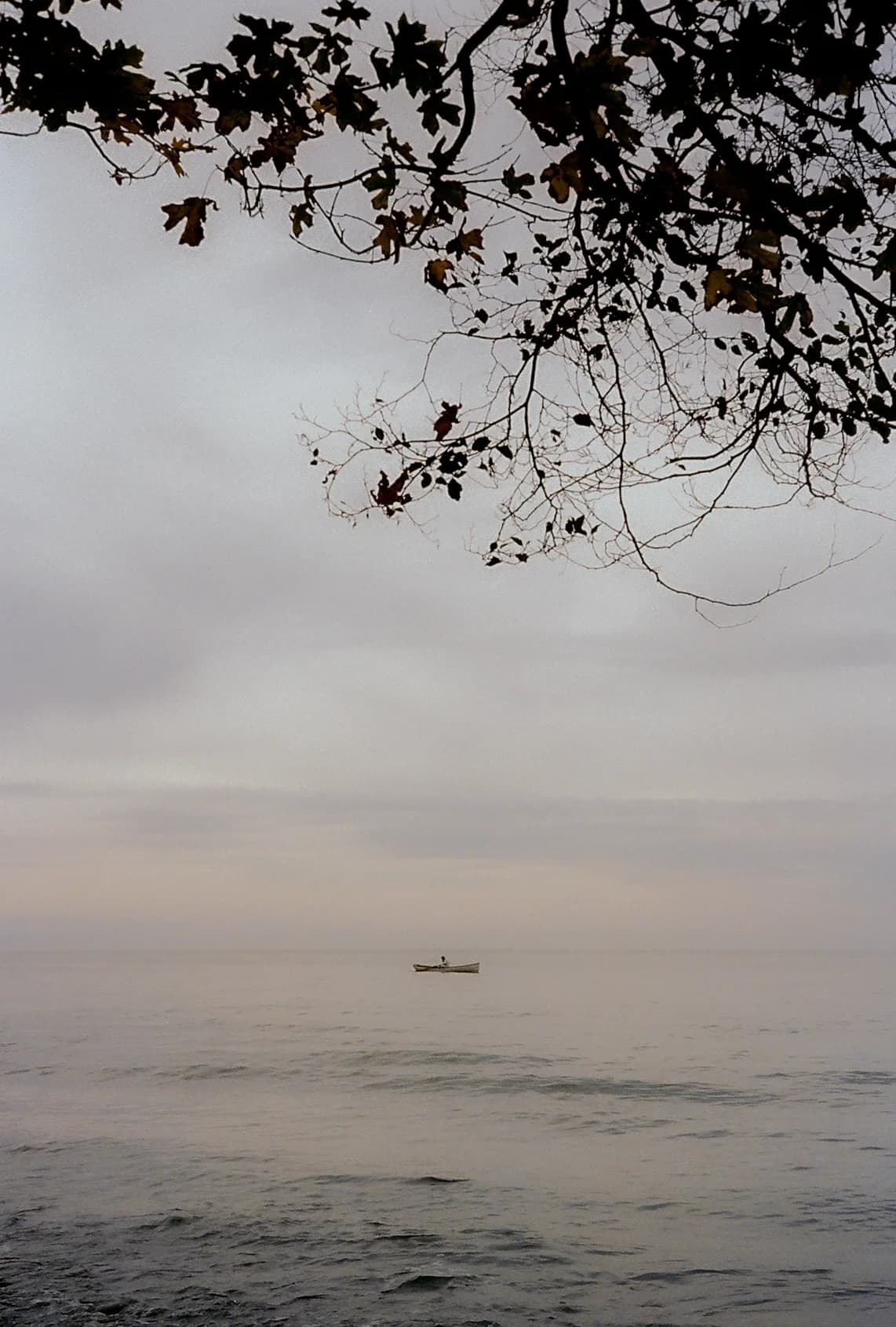 out on the water, shot on film